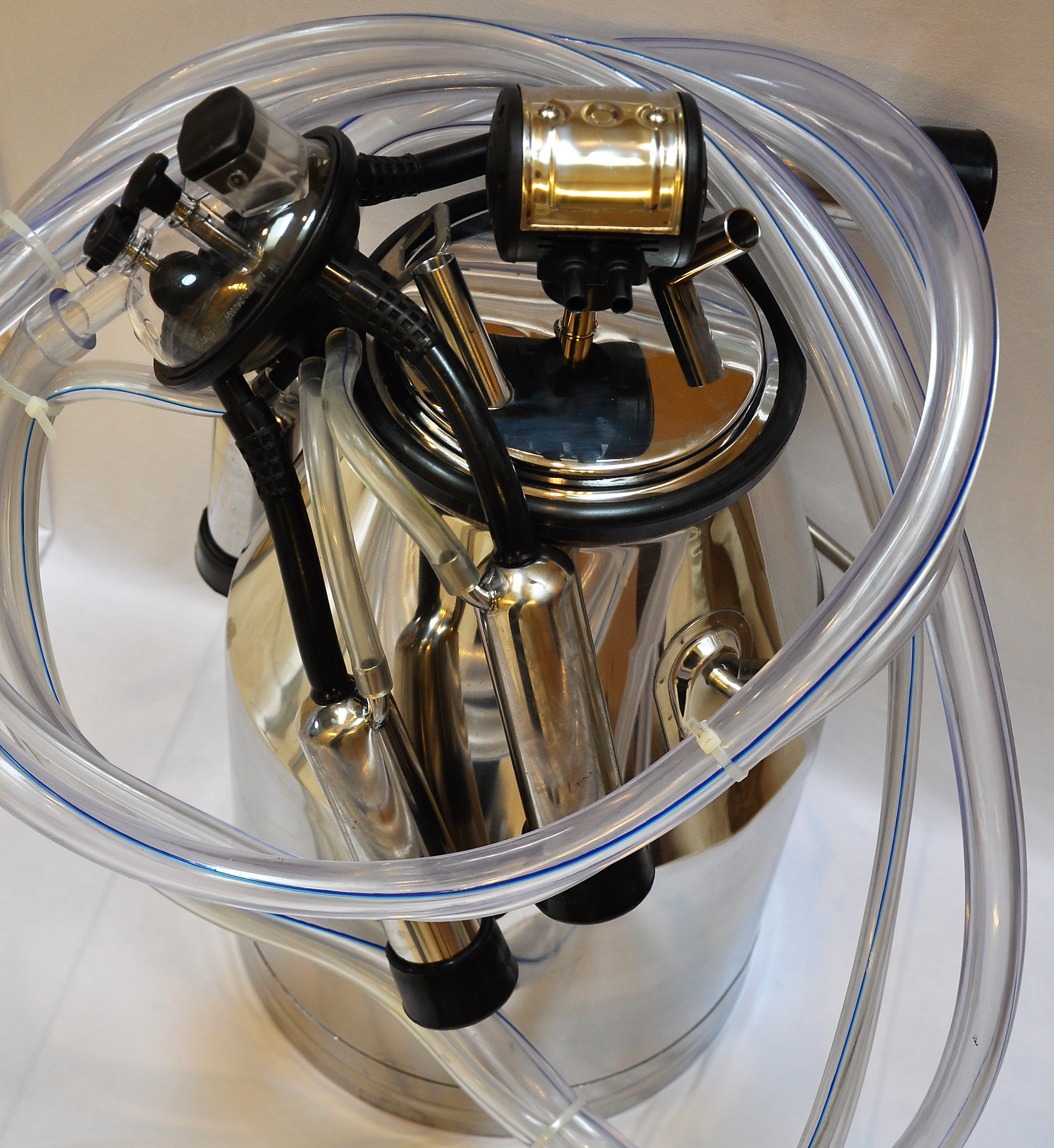 Product: CZSt25 pictures